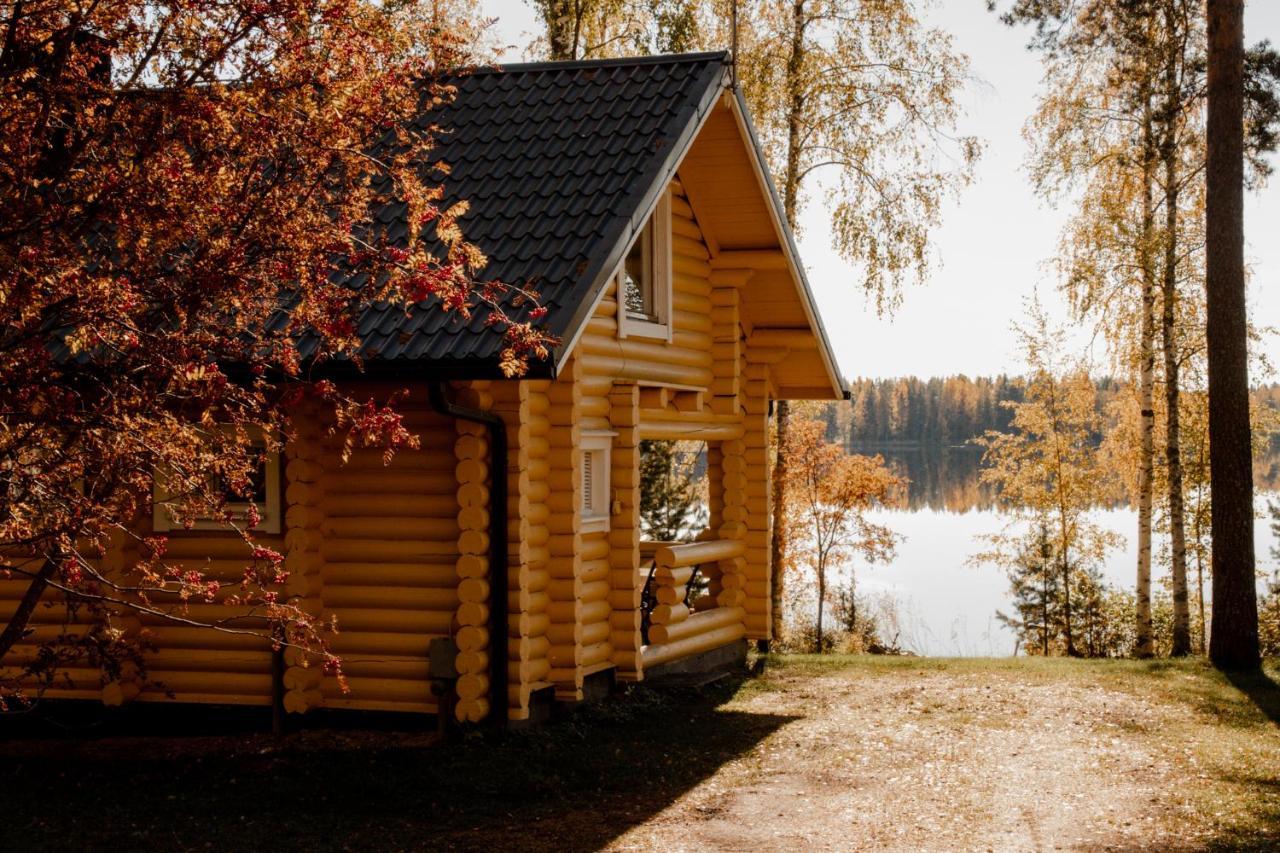 Mansikkaniemen Lomakeskus Rantasalmi Kültér fotó