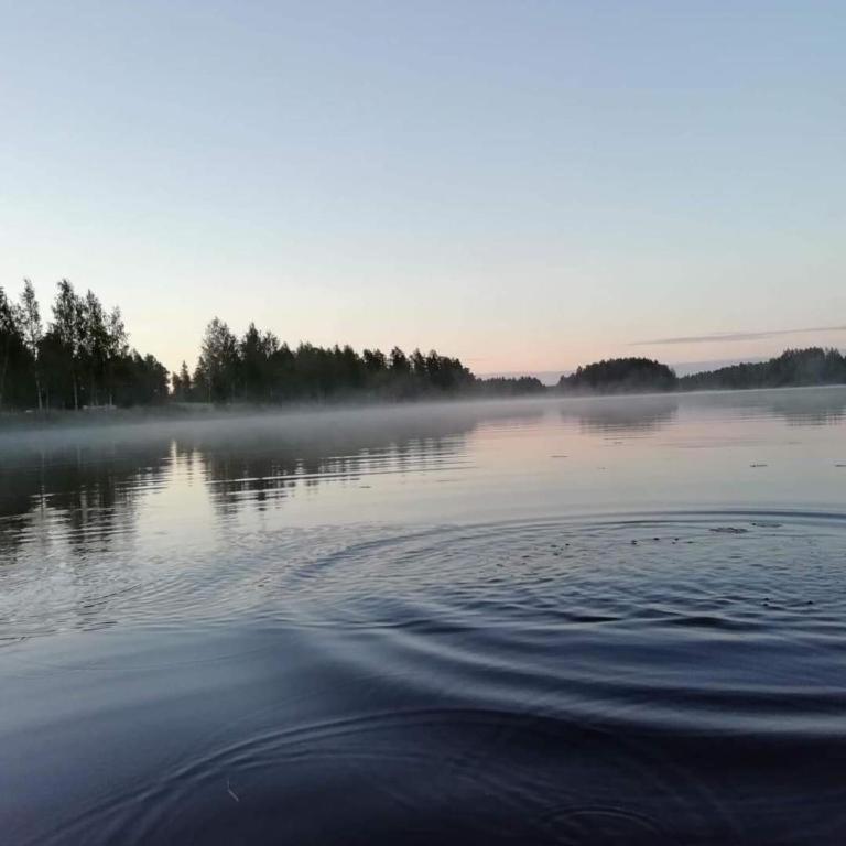 Mansikkaniemen Lomakeskus Rantasalmi Kültér fotó