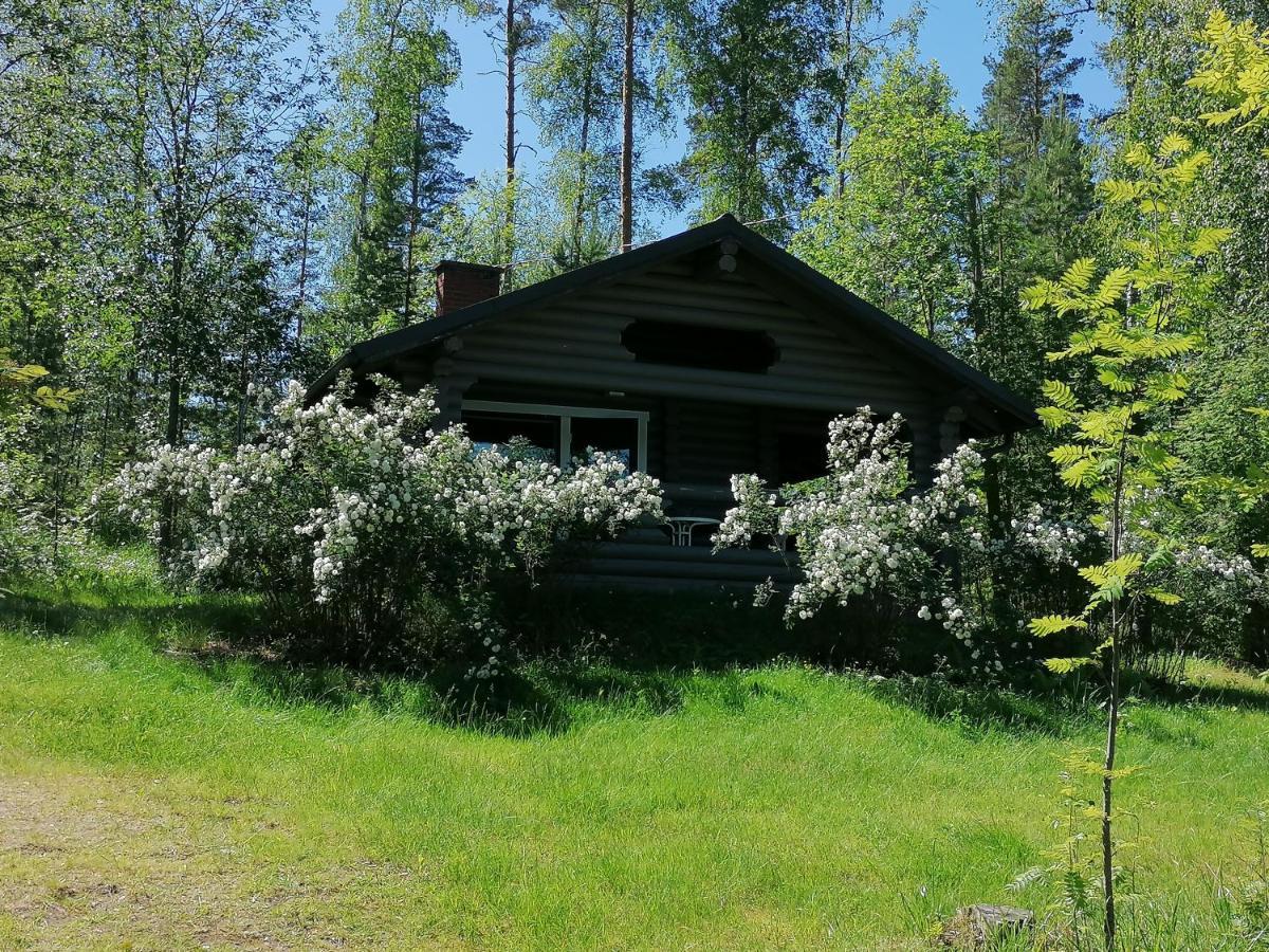 Mansikkaniemen Lomakeskus Rantasalmi Kültér fotó