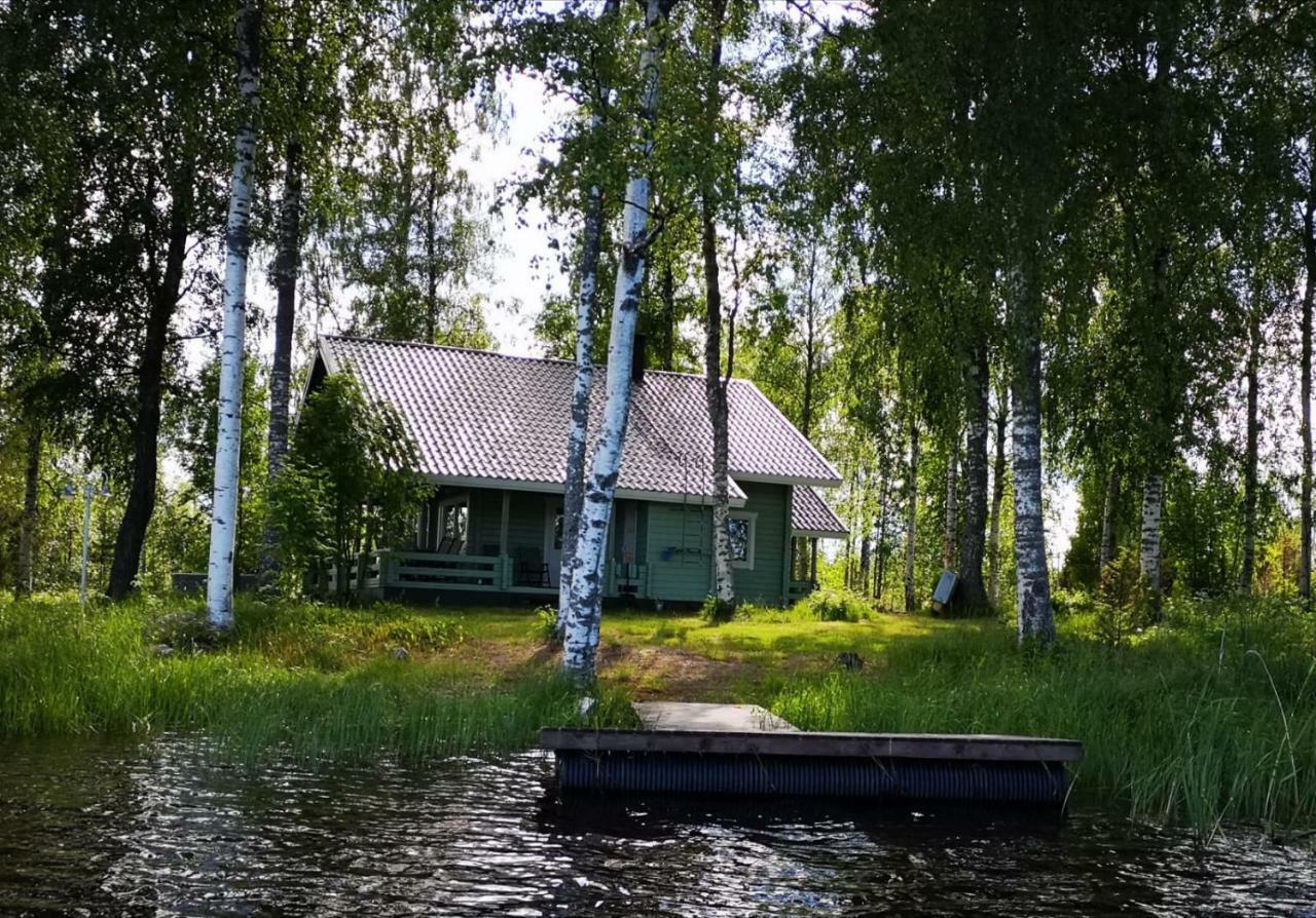 Mansikkaniemen Lomakeskus Rantasalmi Kültér fotó